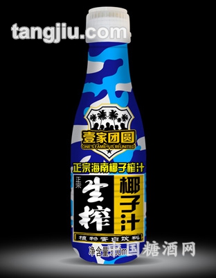 壹家团圆椰子汁