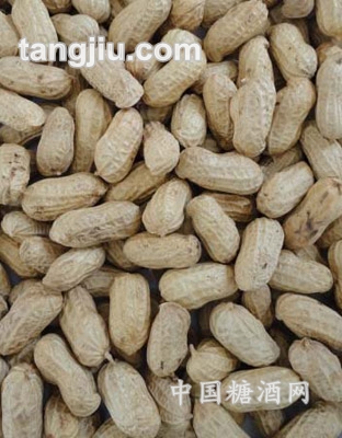 白沙果