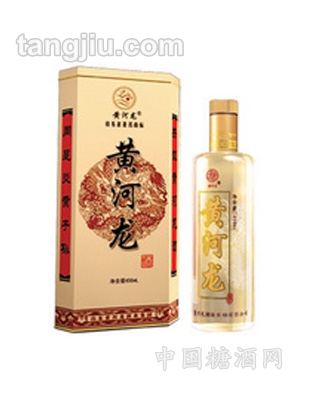 黄河龙商务酒