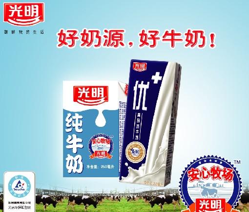 供应批发光明牛奶 光明酸奶 光明畅优