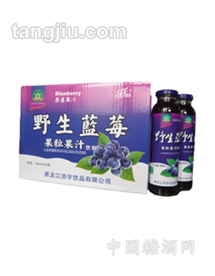 野生蓝莓果汁300ml