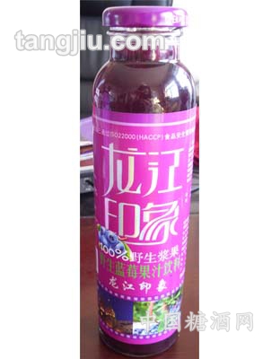 龙江印象果汁300ml