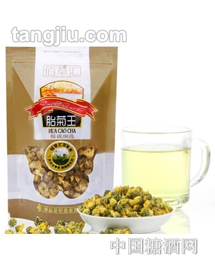 乐泊茶品桐乡胎菊王50g
