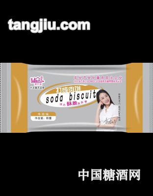 迪亿佳打成肉饼牛排味饼干
