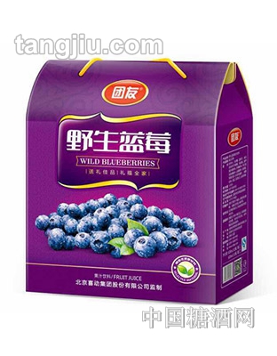 团友蓝莓汁礼盒828ml