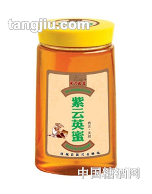 皇宫紫云英蜜模切瓶500g