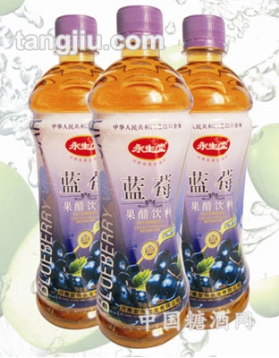 永生堂pe瓶550蓝莓醋