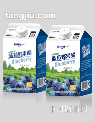 蓝莓苹果醋488ml