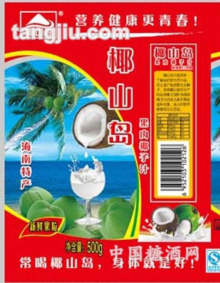 椰山岛椰子汁500g