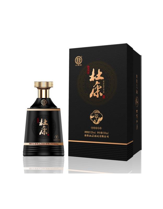 杜康t20.jpg