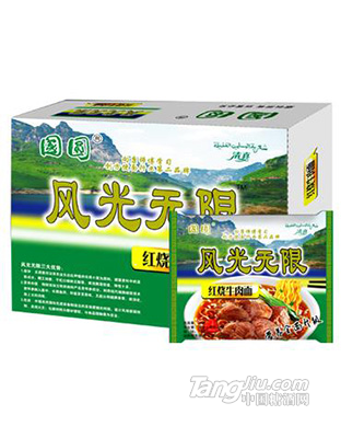 国圆风光无限红烧牛肉面91g