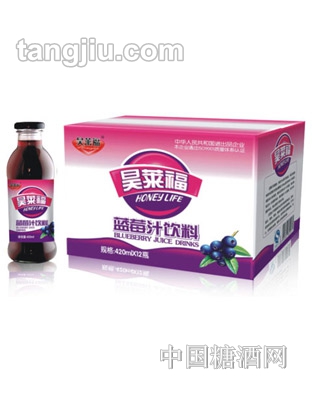 昊莱福蓝莓汁饮料420ml