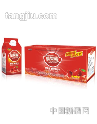 昊莱福野生酸枣汁500ml