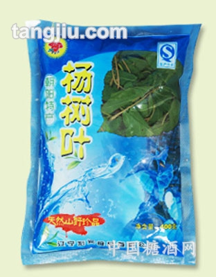 杨树叶