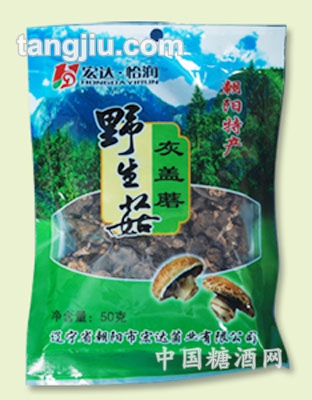 灰盖蘑
