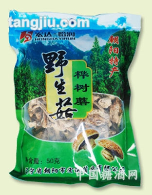 桦树蘑