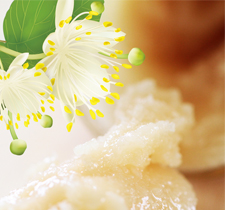 蜂蜜厂家 选“鸿香源”