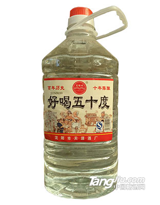 十年陈酿5L