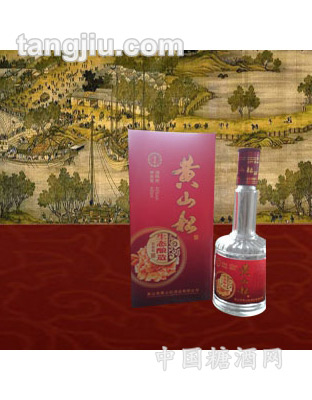黄山松酒石柱松