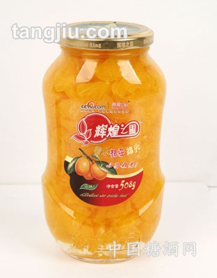 糖水桔子罐头508g