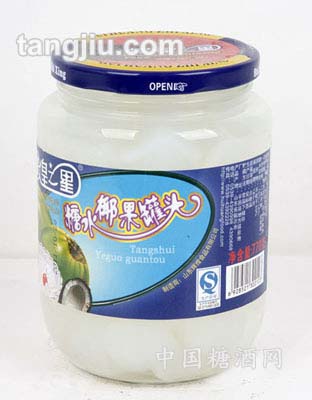 糖水椰果罐头770g