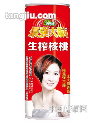 升级版强大脑生榨核桃乳240ml