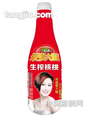 升级版强大脑生榨核桃乳500ml