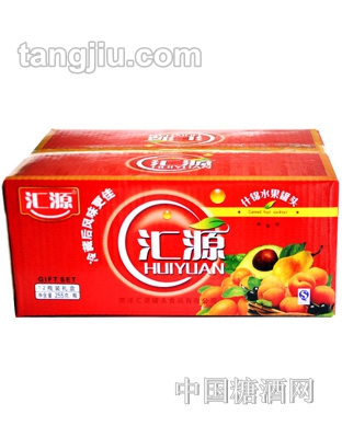 汇源什锦水果罐头255g