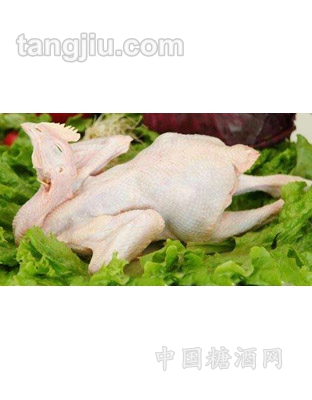 恒信三黄鸡