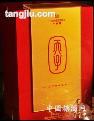 天子儒境之尊信阳毛尖100g