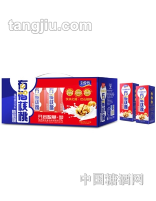 有智核桃露（利乐砖）礼盒