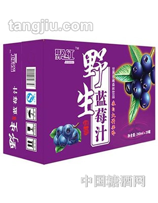 聚红野生蓝莓汁240ml