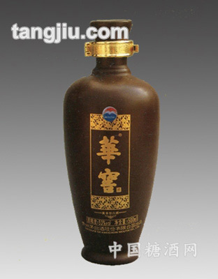 色彩釉景德镇陶瓷酒瓶8