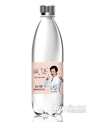 含汽苏打水（荔枝）