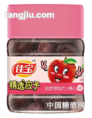 佳宝精选应子190g