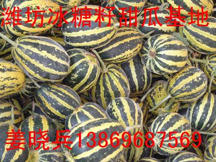 供应潍坊冰糖籽甜瓜