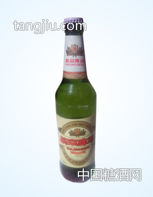 燕京啤酒精酿瓶装