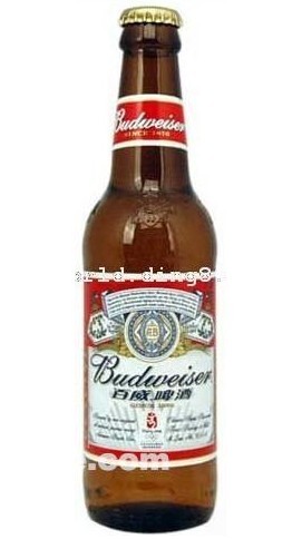 供应各种品牌啤酒