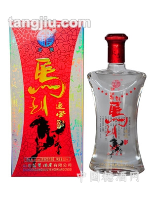 金贵酒马到追风