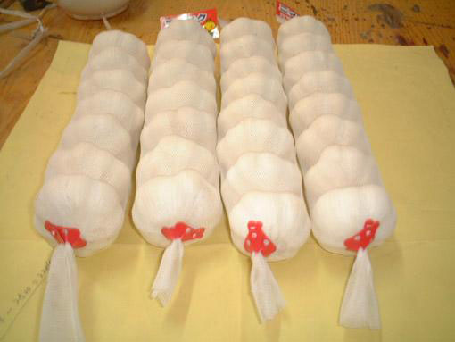 供应纯白大蒜