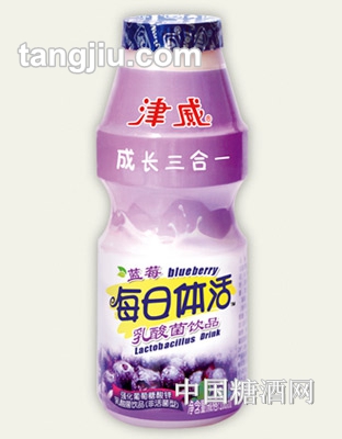 津威每日体活乳酸菌饮品蓝莓味150ml