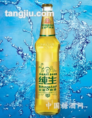 金星啤酒冰爽纯生9度510ml