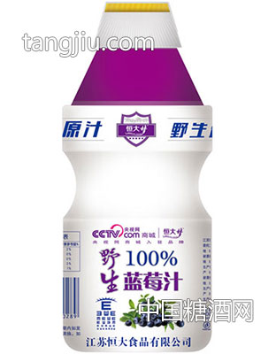 450ml蓝莓汁