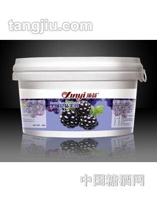 顶益黑加仑味果膏3000g