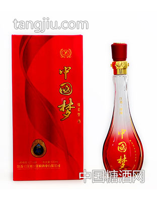 中国梦20年