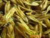 供应【黄家荟】天然花茶芦荟花草茶   养颜芦荟花