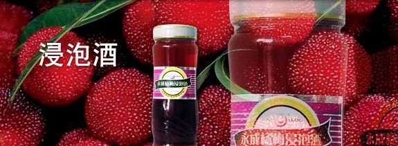 杨梅浸泡酒