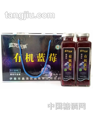 蓝灵圣果蓝莓果汁商务420ml