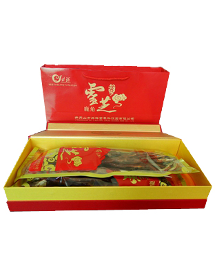灵芝鹿角礼盒