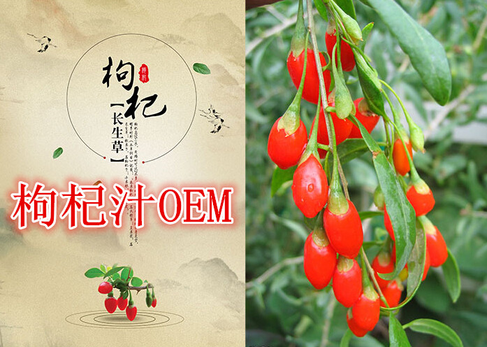供应50ml黑枸杞饮料代加工厂家